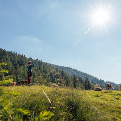 00000064802_Wandern-rund-um-die-Geigerhuette-3_Region-Villach-Tourismus-GmbH_infrastil